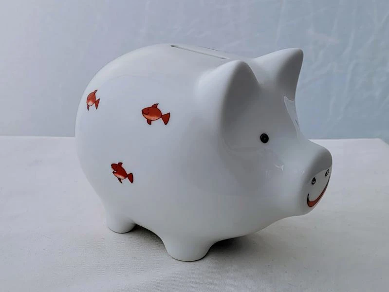 Sparschwein - Pirat